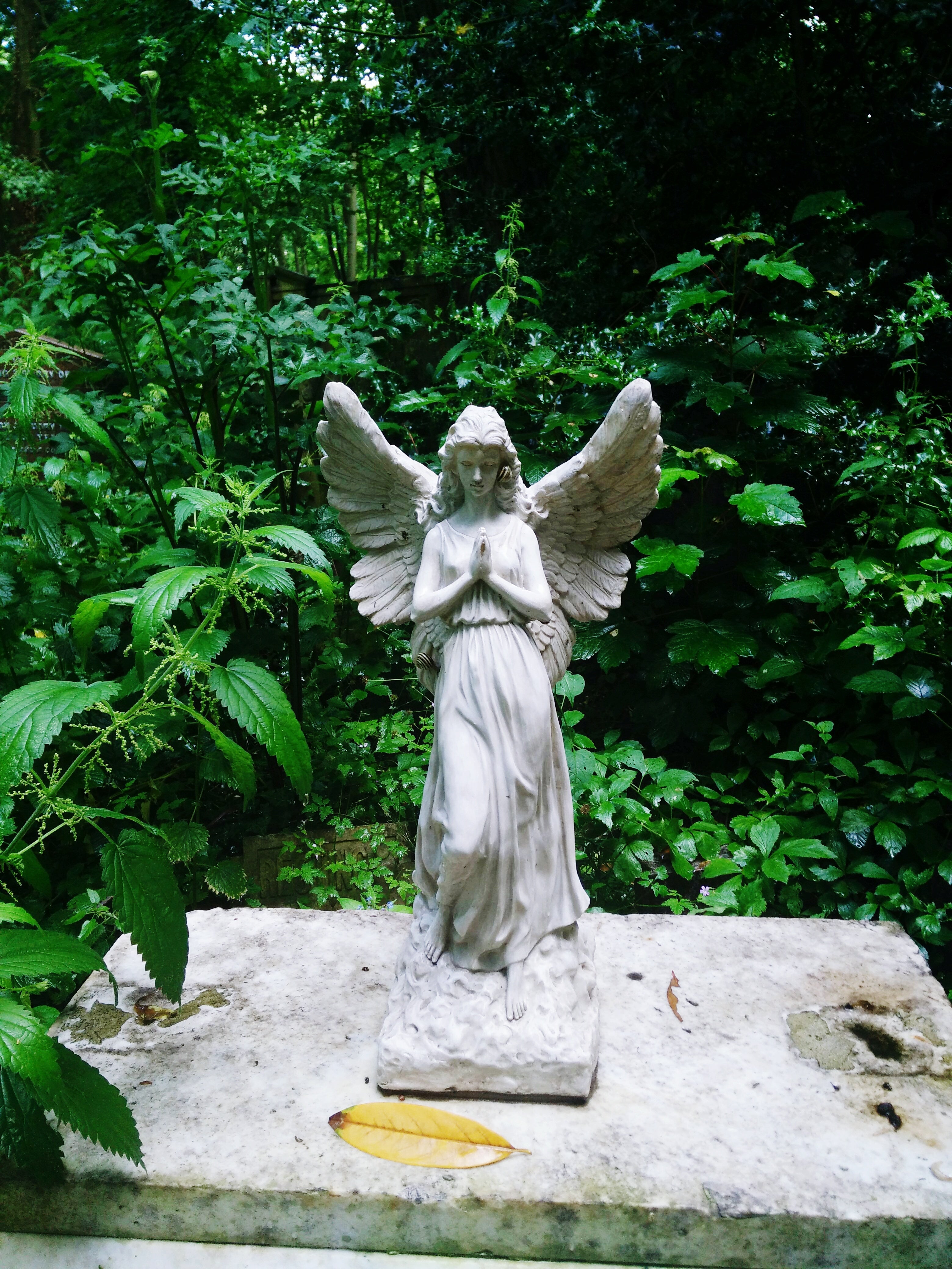 Veraarden een duurzaam alternatief voor een betekenisvolle uitvaart | EngelenRust