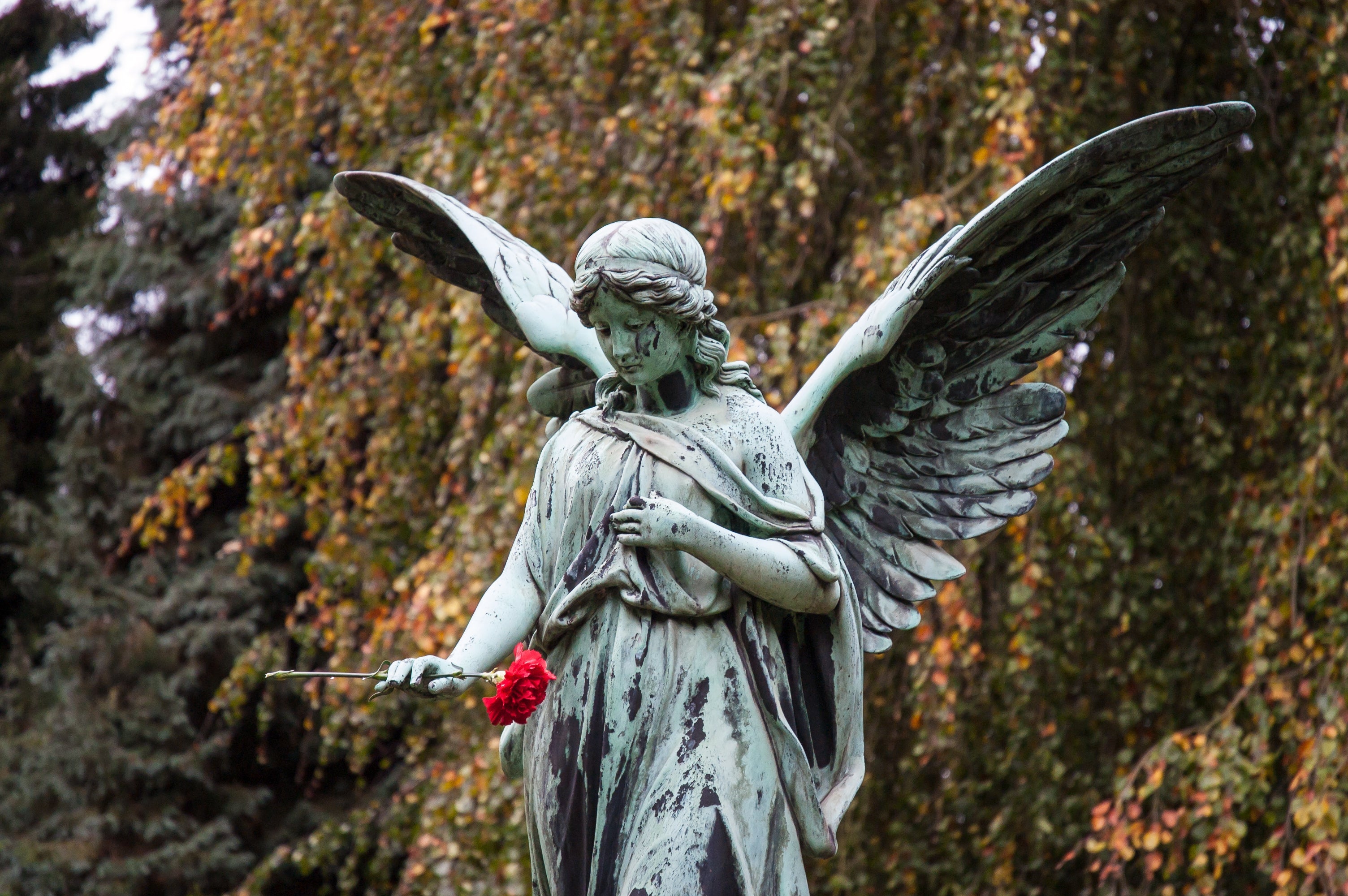 Waarom zelf een uitvaart regelen beter is voor het afscheid én de rouwverwerking